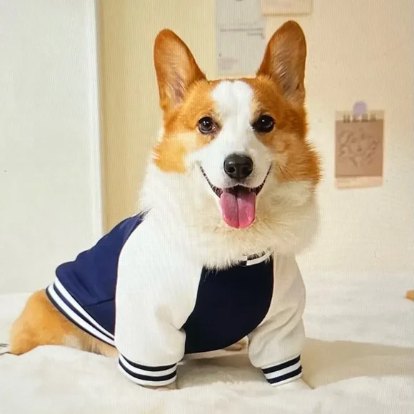 NWT adorable pet varsity look sweatshirt, size small - Picture 1 of 7
